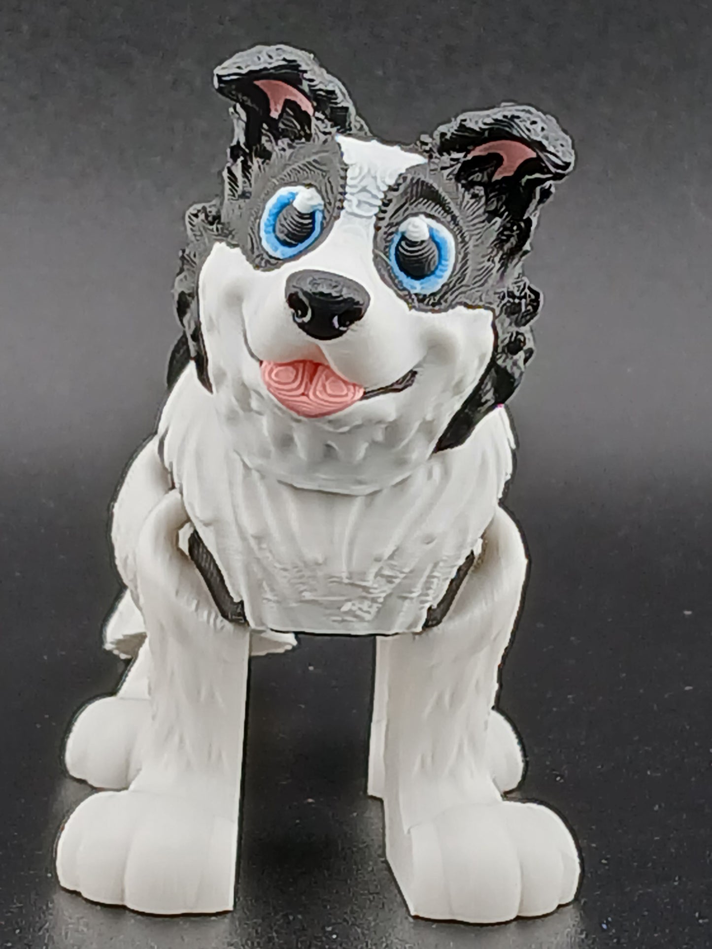 Border Collie