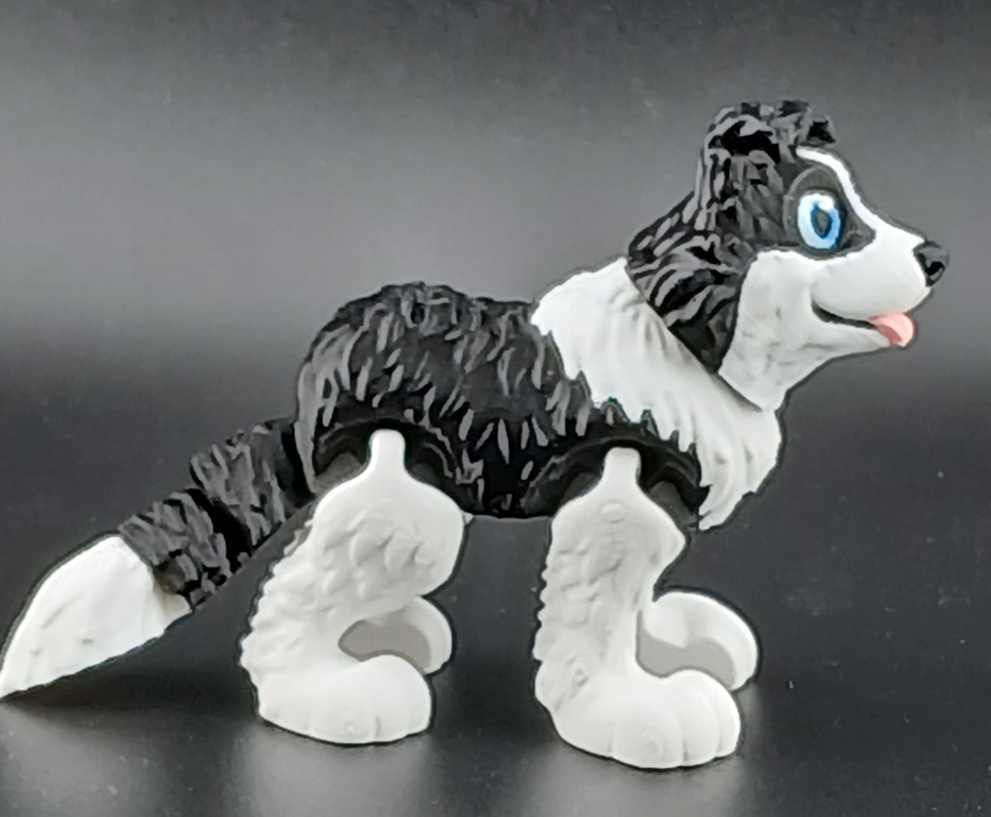 Border Collie