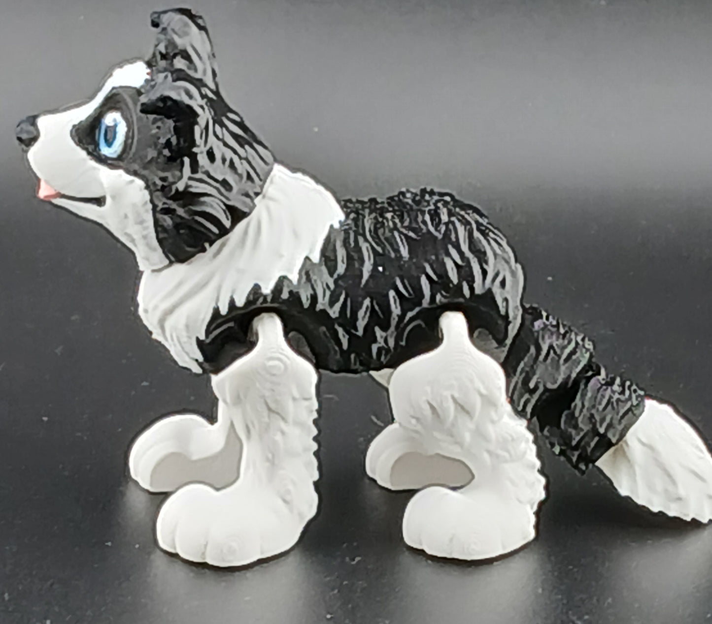 Border Collie
