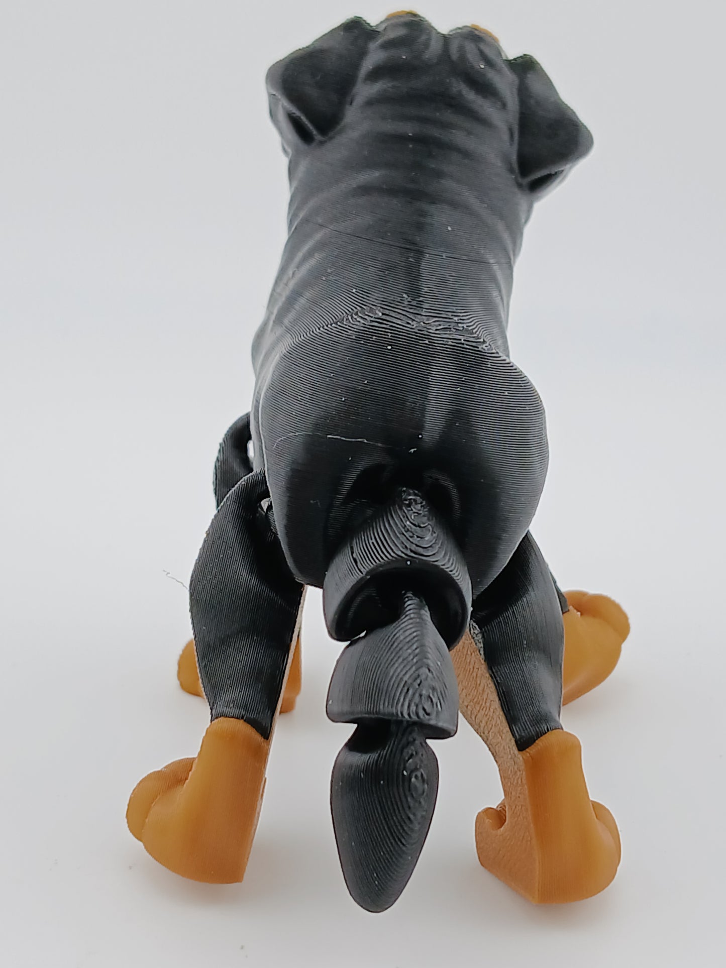 Doberman