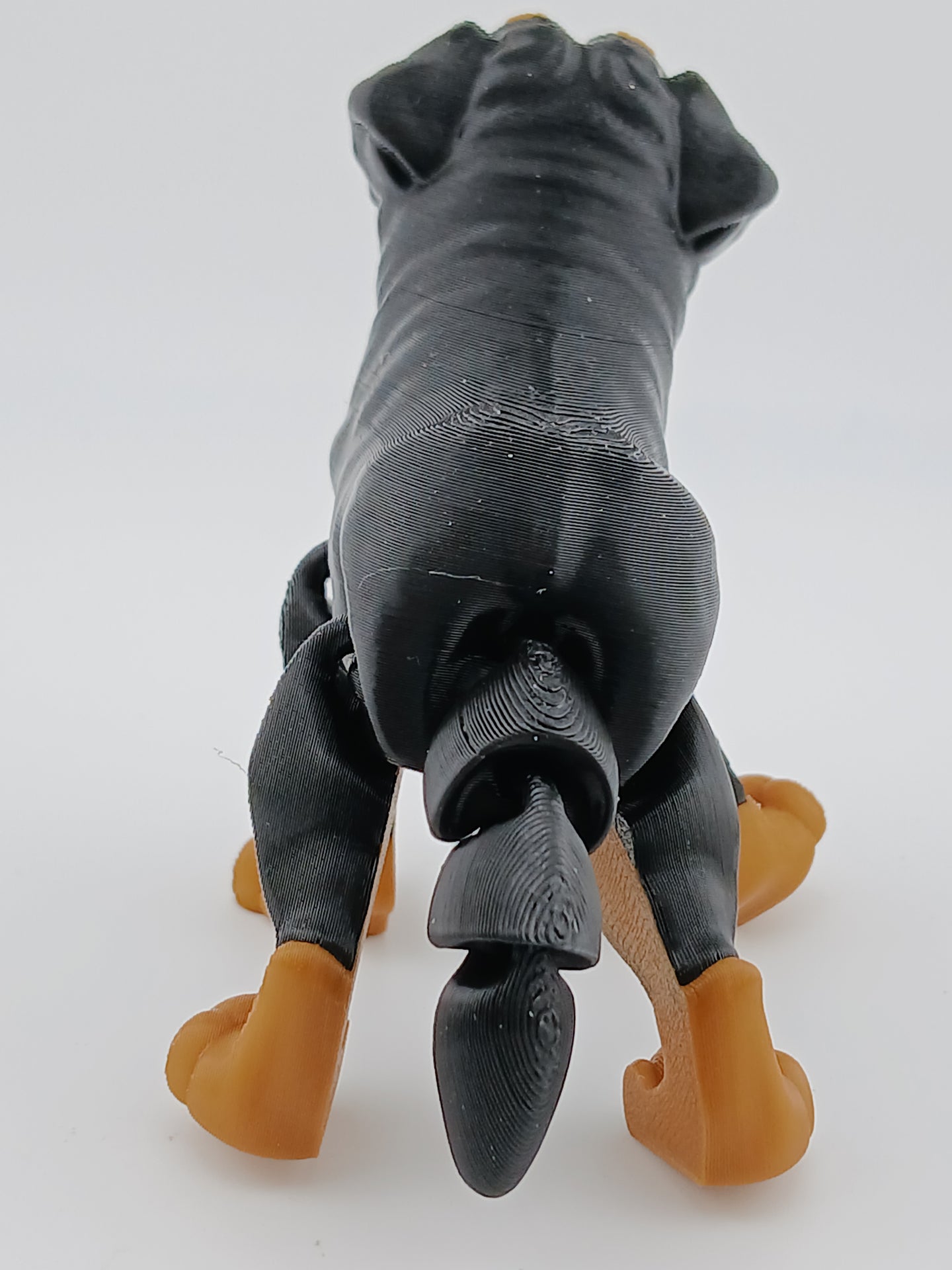 Doberman
