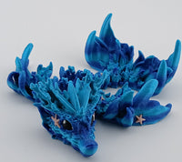 Coral Reef Tadling