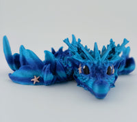 Coral Reef Tadling