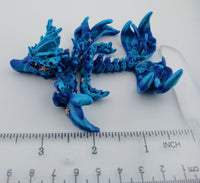 Coral Reef Tadling