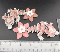 Cherry Blossom Tadling