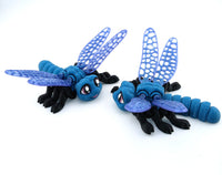 Cute Dragonfly