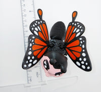 Butterfly Guy