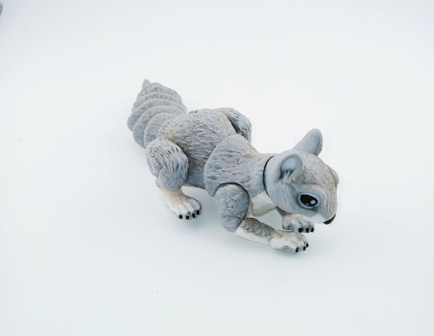Squirrel
