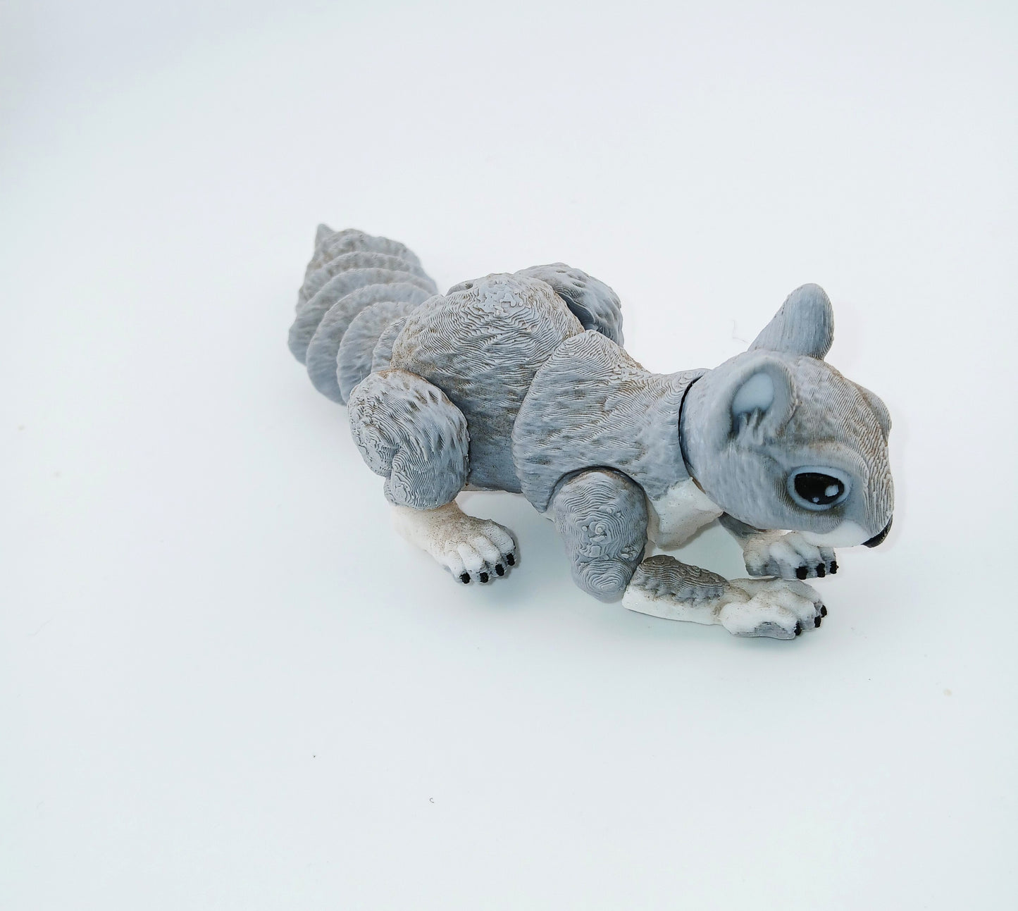 Squirrel