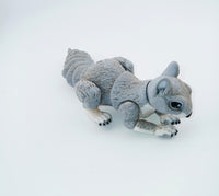 Squirrel