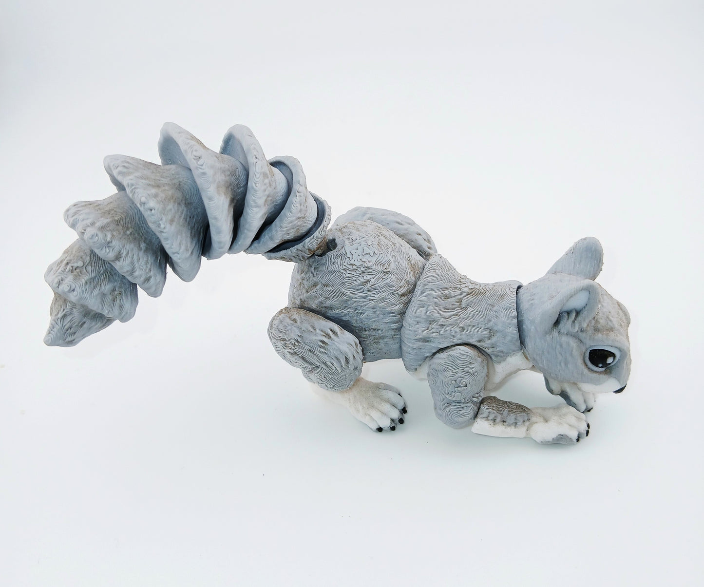 Squirrel