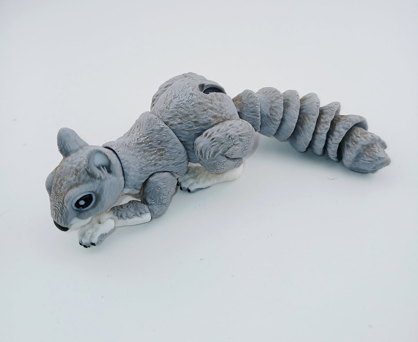 Squirrel