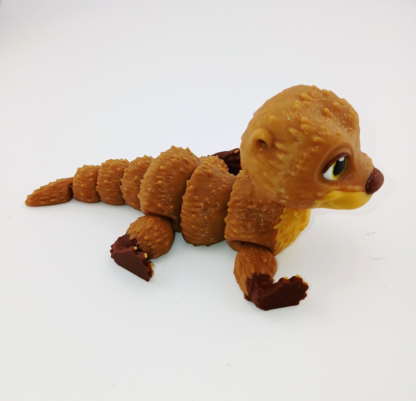 Cute Otter