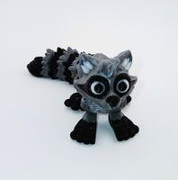 Raccoon