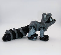 Raccoon