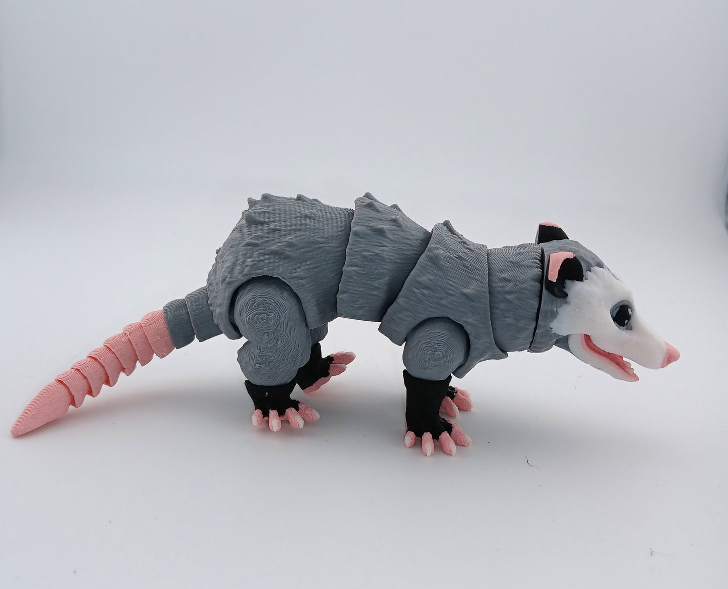 Opossum