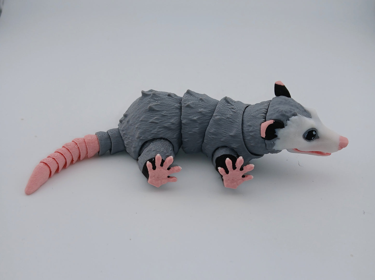 Opossum