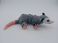 Opossum