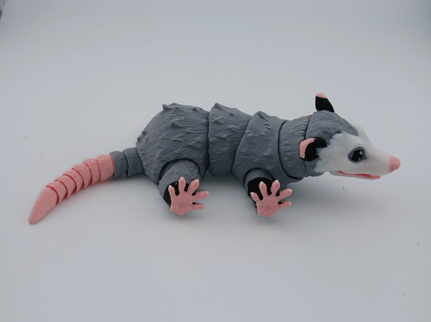Opossum
