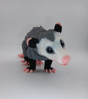 Opossum