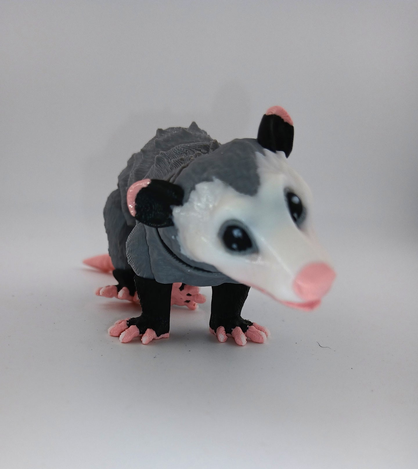 Opossum