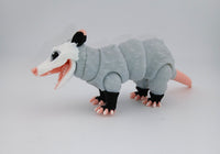 Opossum