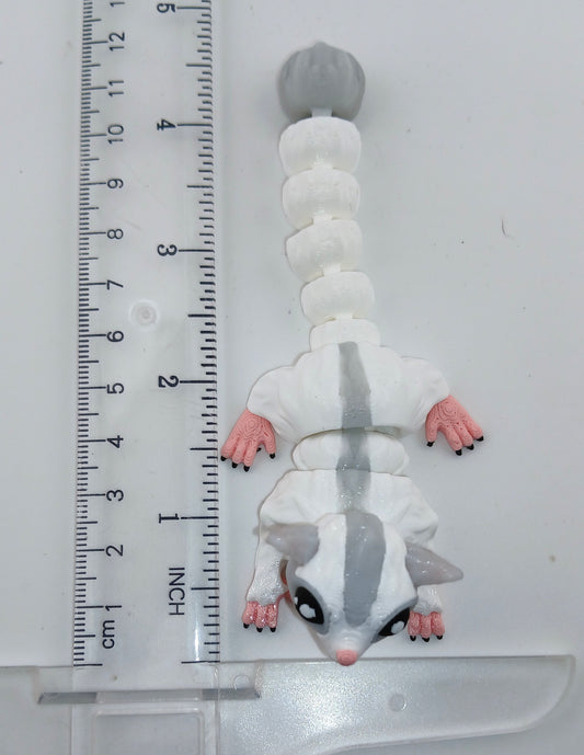 Sugar Glider