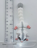 Sugar Glider