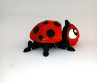 Lady Bug