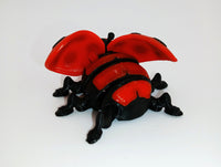 Lady Bug