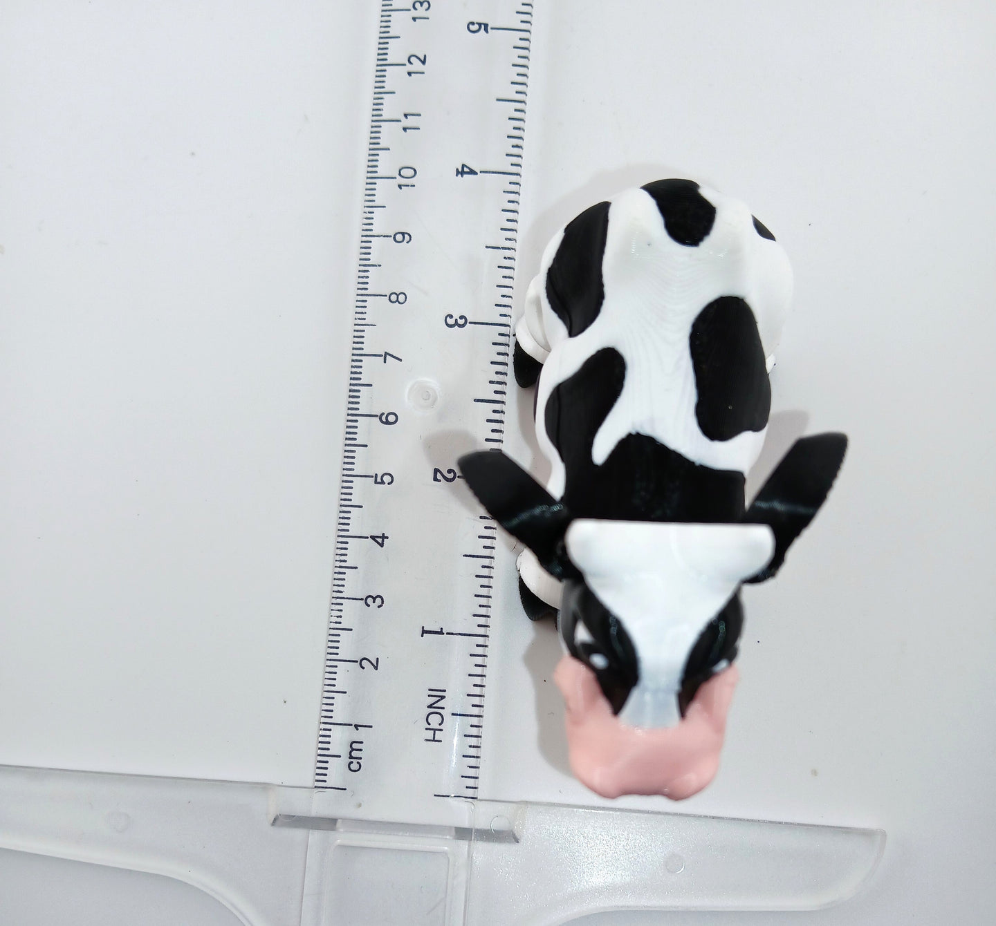 Cute Cow