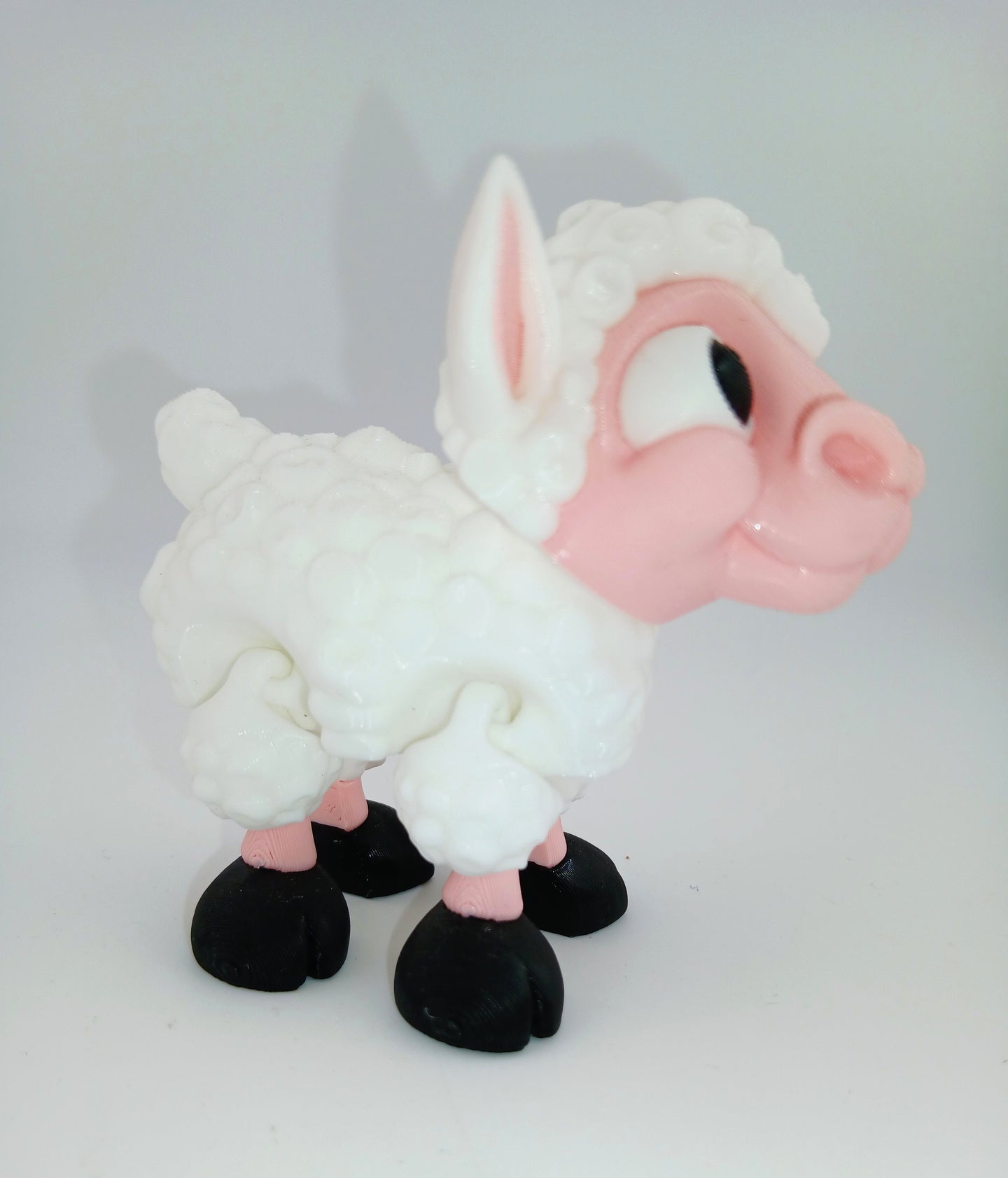Cute Lamb