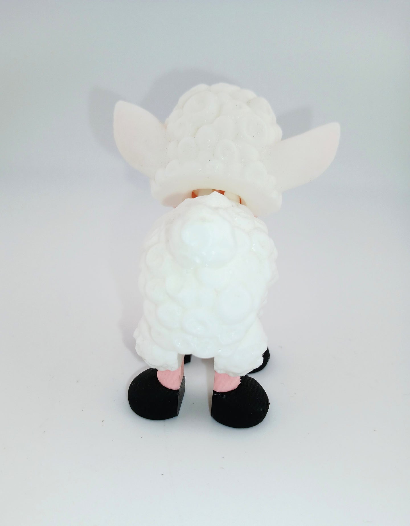 Cute Lamb