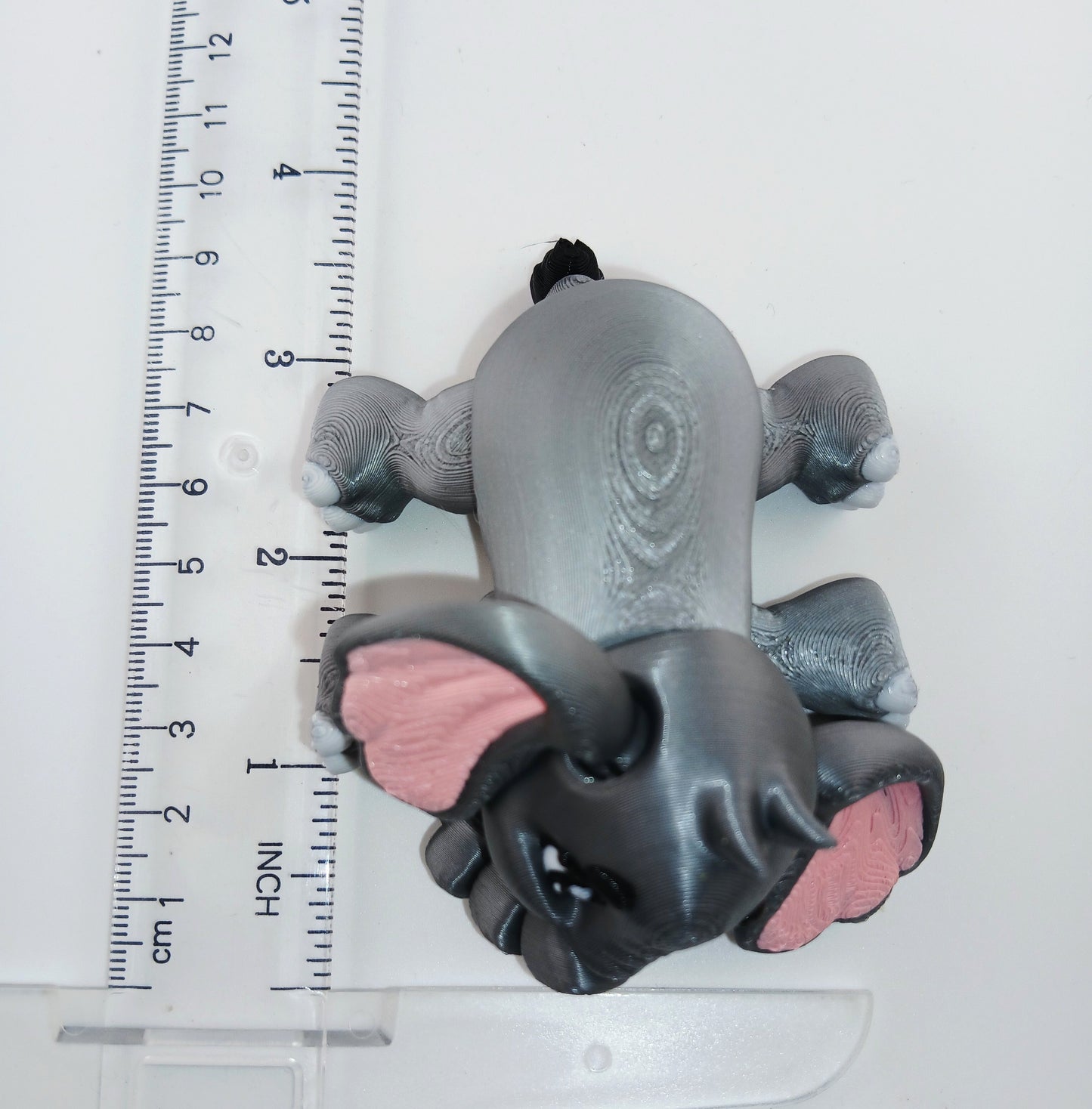 Baby Elephant