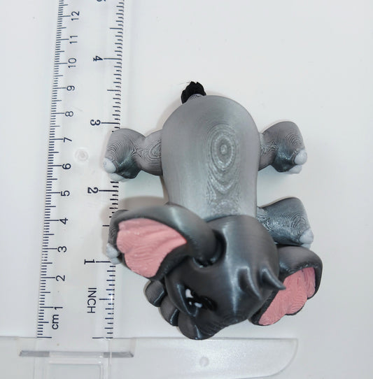 Baby Elephant