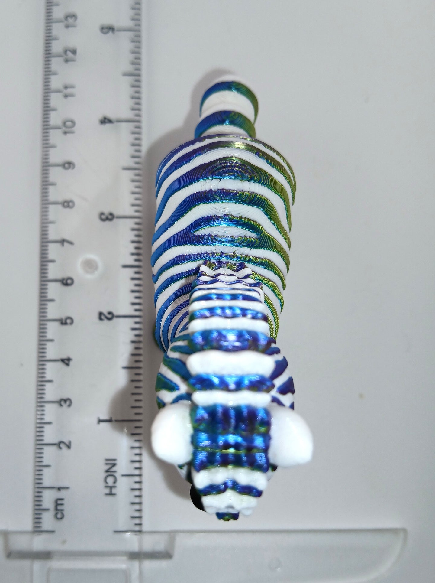 Cute Zebra