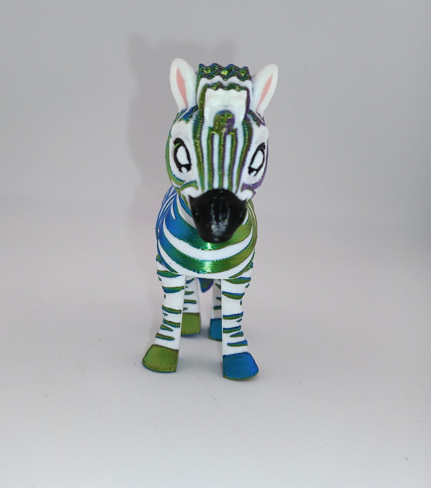 Cute Zebra