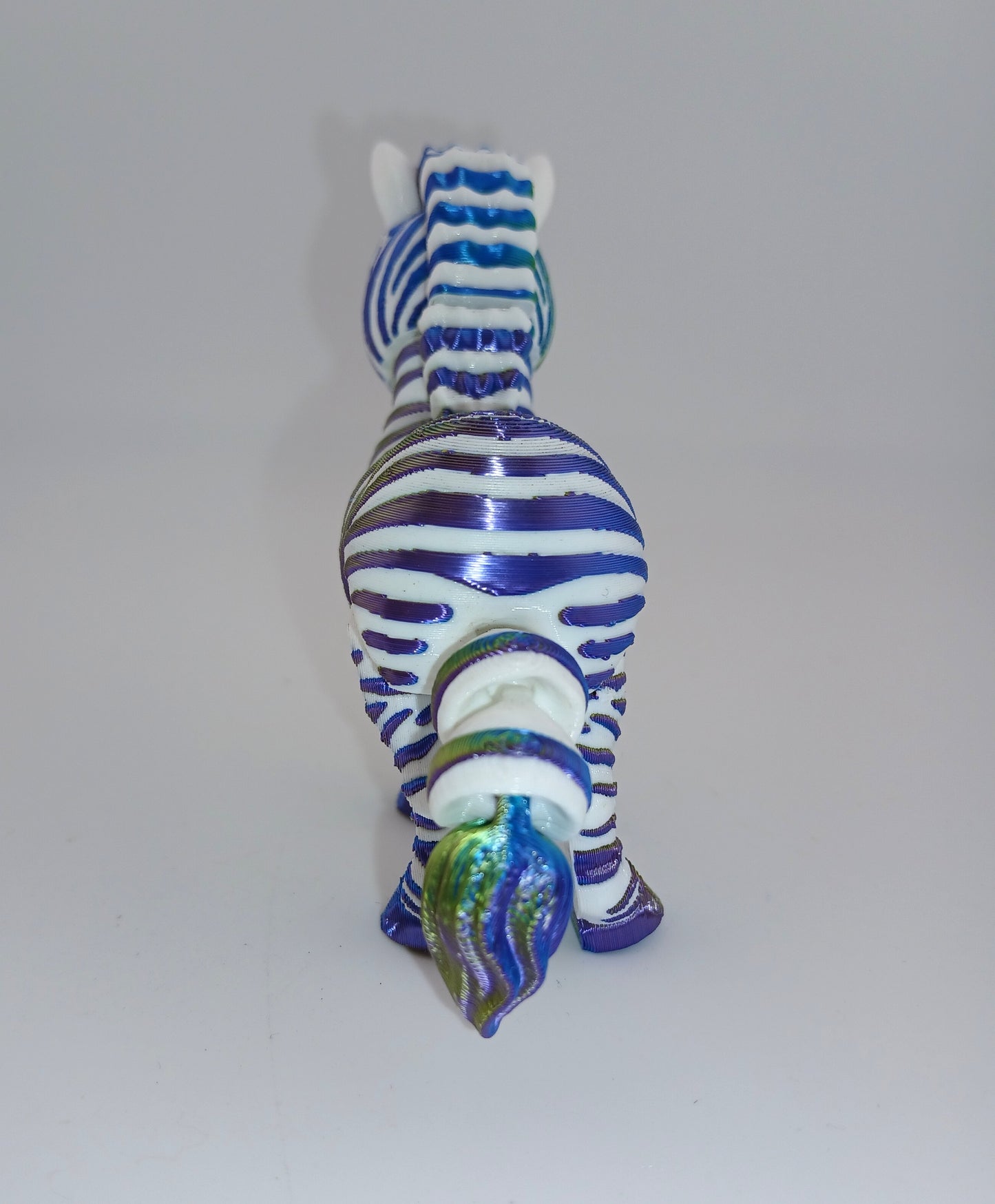 Cute Zebra