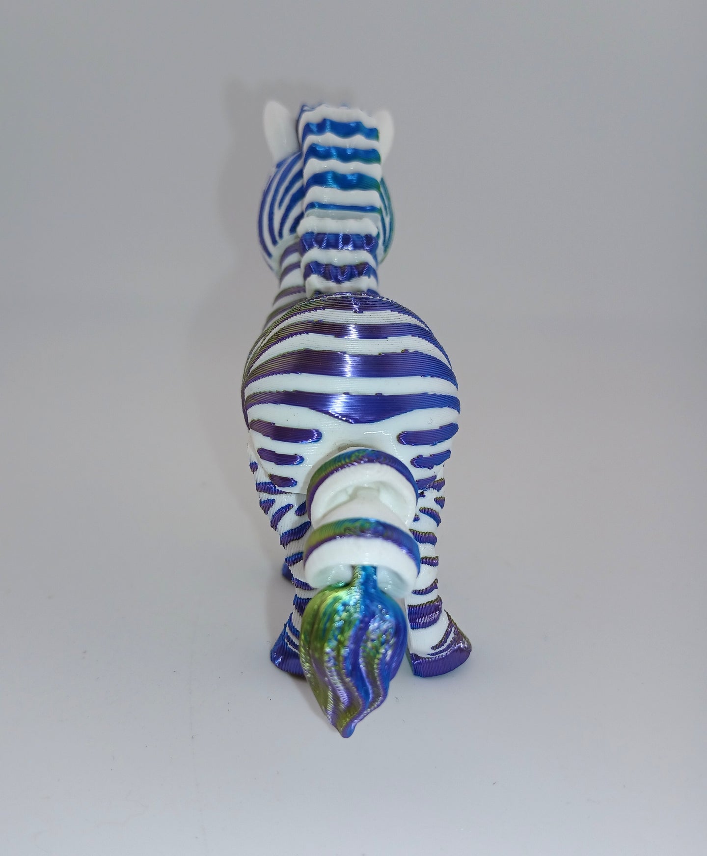 Cute Zebra