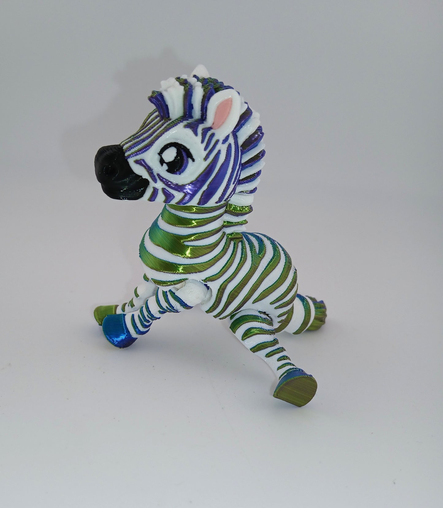 Cute Zebra