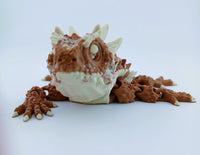Horned Lizard