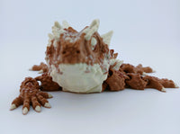 Horned Lizard