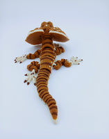Frilled Neck Lizard