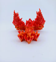 Baby Phoenix Dragon