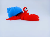 Hermit Crabs