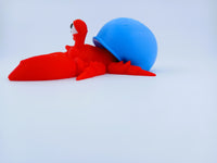 Hermit Crabs