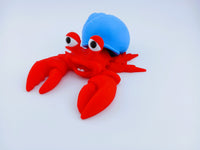 Hermit Crabs