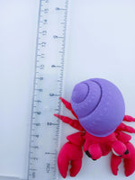 Hermit Crabs