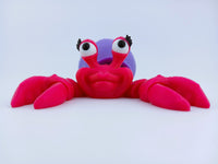 Hermit Crabs