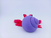 Hermit Crabs